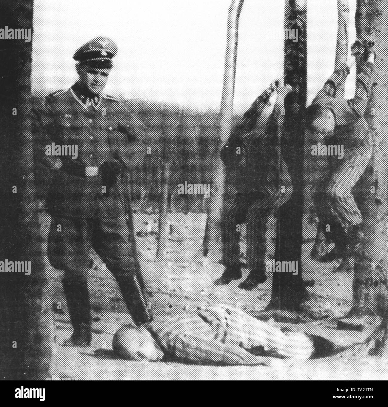SS soldier poses next to prisoners who are subjected to the punishment of the tree hanging. The image is a mock recording, possibly provided by the DEFA for political reasons in 1958. See: Herbert Obenaus, The photo of tree-hanging - a picture goes around the world in: Memorials-Newsletter 68 (Okt.1995), pp 3-8. The image is inverted. Stock Photo