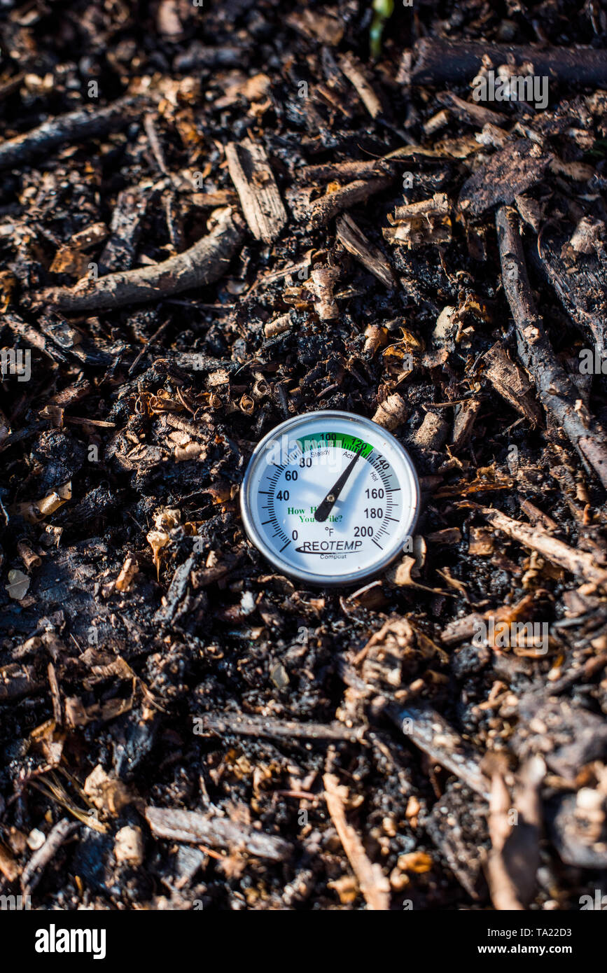Thermometer in compost pile measuring temperature Stock Photo Alamy