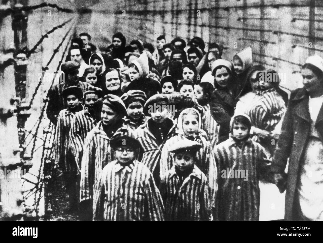 A group of Jewish children in prison clothes at the concentration camp in Auschwitz during the liberation in January 1945. A few months after the freeing the Red Army with Polish extras made a film about the liberation of the concentration camps, from which this image could possibly come. Stock Photo