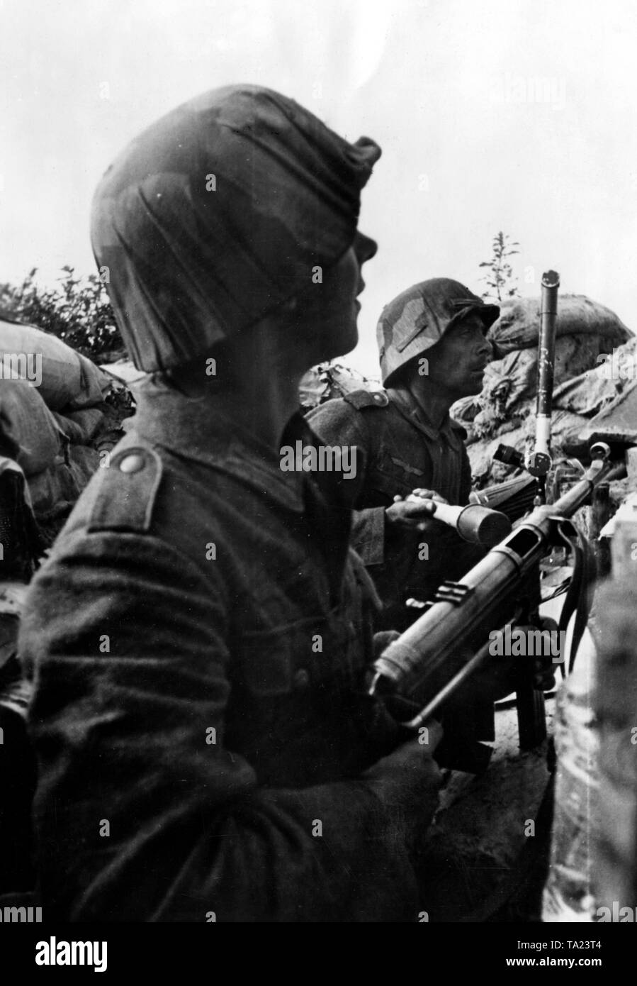 German soldiers stand ready for the defense in a ditch south of Lake Ladoga. In addition to submachine guns (MP 40), they also have grenades on hand. A few days earlier, the Red Army began the Mginsk Operation. With this 'Battle of the Sinjawino Heights', the blockade of Leningrad was to be burst for good. Photo of the Propaganda Company (PK): war correspondent Rynas. Stock Photo