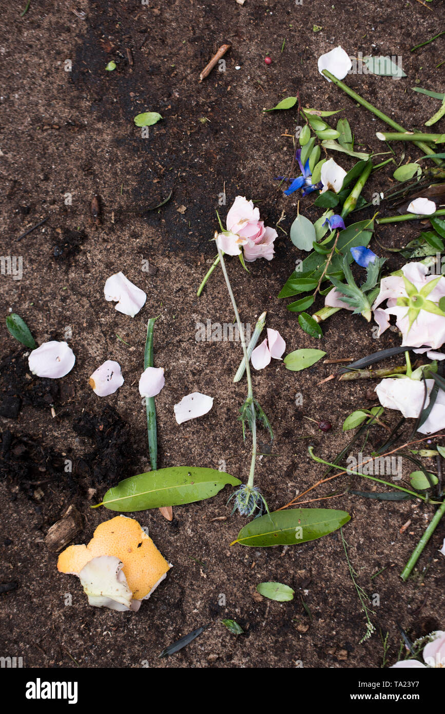 Flower waste in a compost pile Stock Photo Alamy