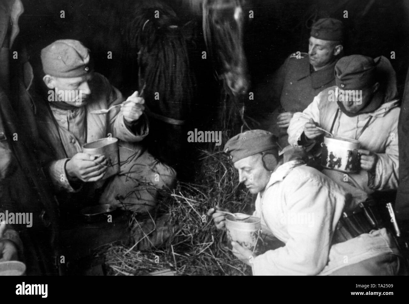 Soldiers eat soup in a railroad car, which carries them to the next deployment location. The same wagon will house the horses needed for further transport. They are located south of Oryol (Orel) in the eponymous oblast. Photo of the Propaganda Company (PK): war correspondent Henisch. Stock Photo