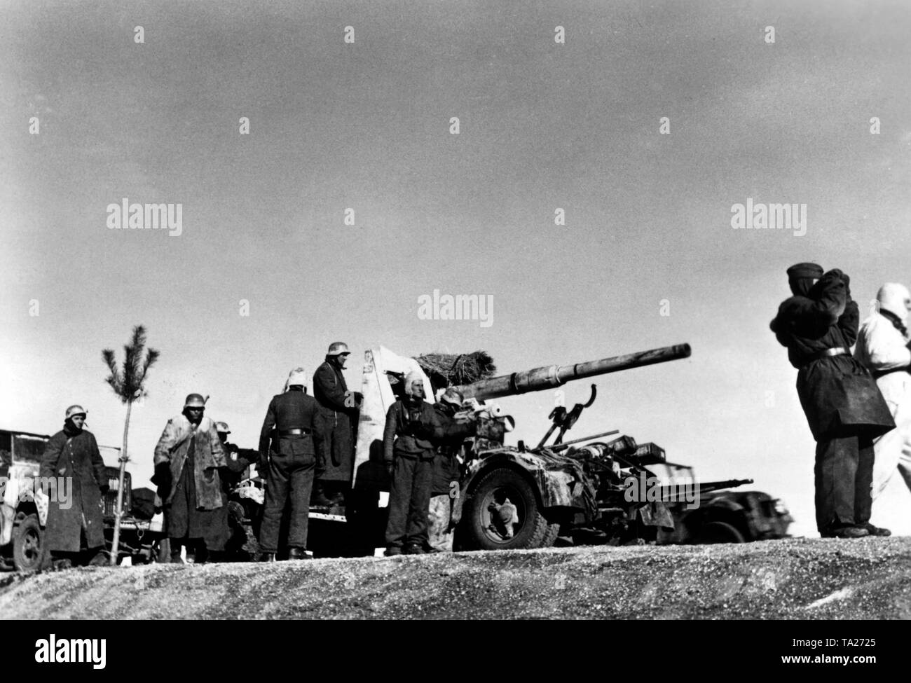 Grenadiers of an SS unit watch the front from a hill. A 8.8 cm FlaK is used by them for ground target.They are partly equipped with winter clothing. (SS-Photo of the Propaganda Company (PK): war correspondent Neumann) Stock Photo