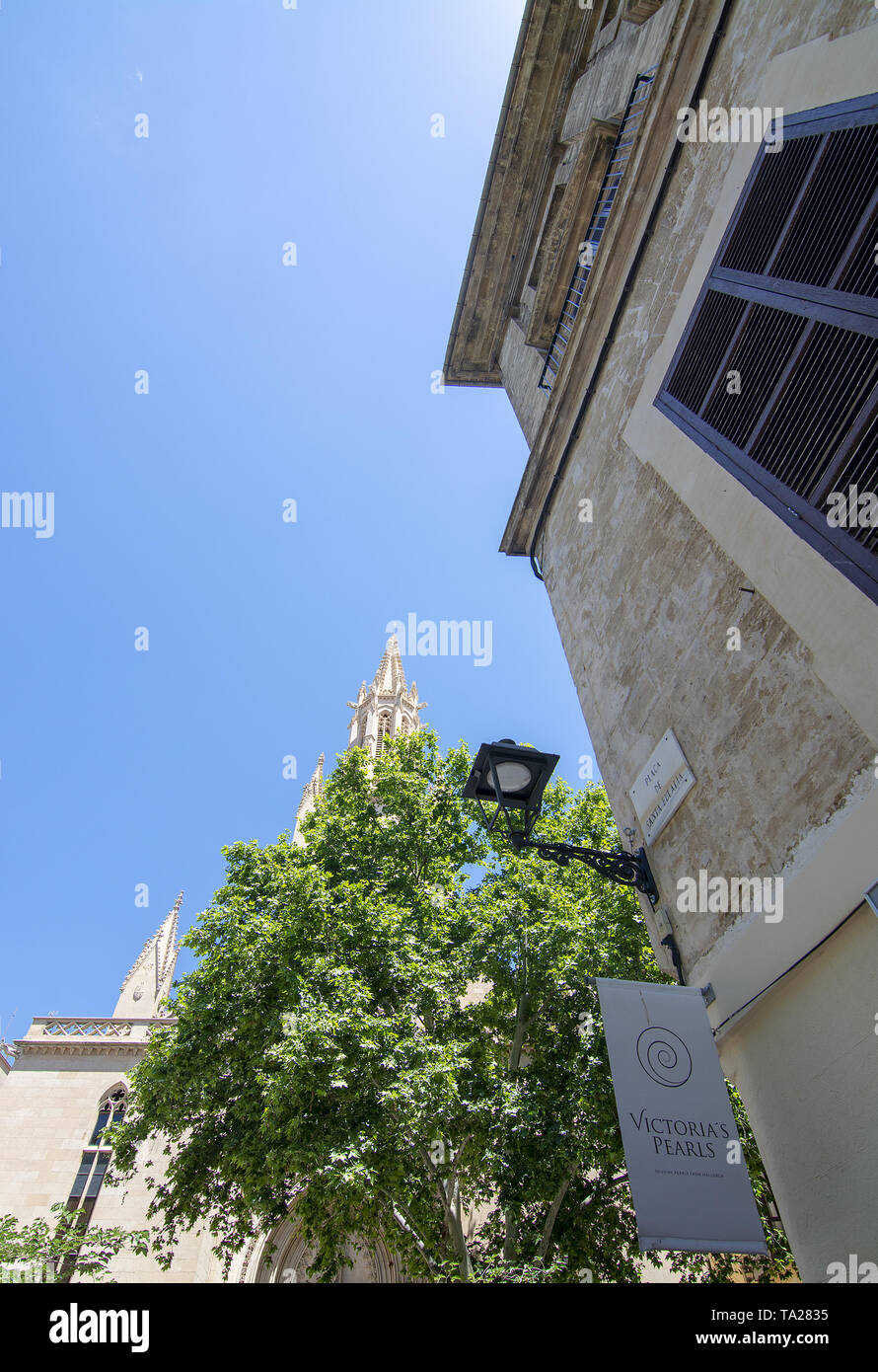 PALMA, MALLORCA, SPAIN - MAY 20, 2019: Victorias Pearls sign and Basilica Sant Francesc towering behind tree on a sunny day on May 20, 2019 in Palma,  Stock Photo