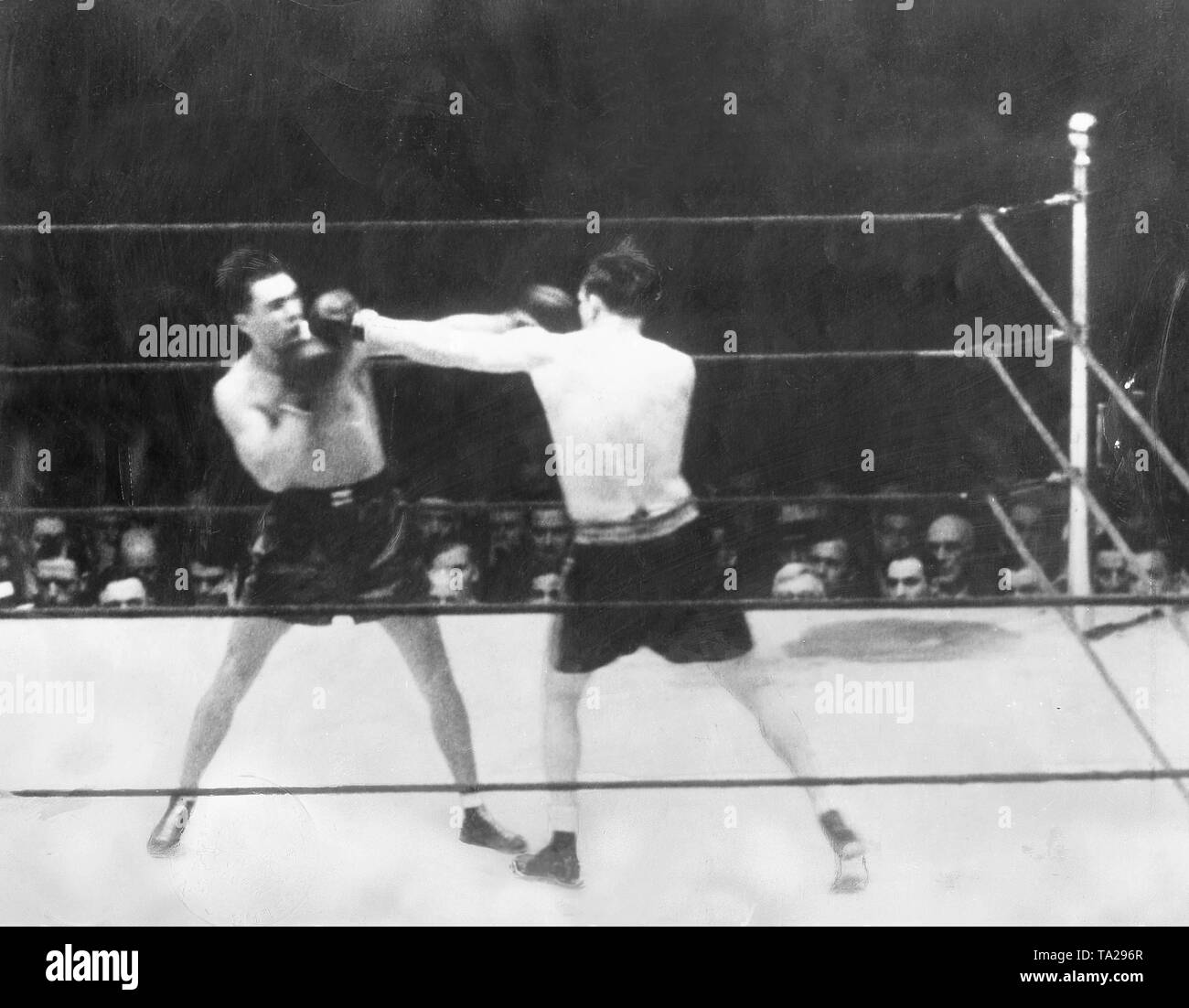 The German boxer Max Schmeling (on the right) at the world championship match against the American boxer Jack Sharkey. Schmeling lost the fight by a controversial point defeat. Stock Photo
