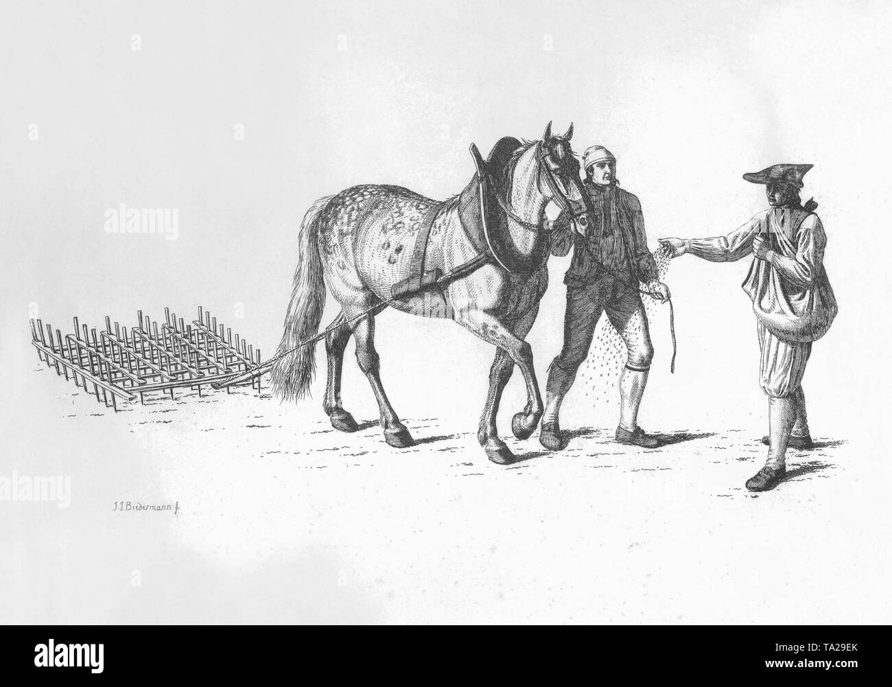 Sow the seed Black and White Stock Photos & Images - Alamy