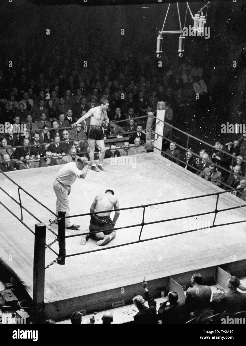 German boxer Max Schmeling against American boxer Steve Dudas in Hamburg on April 28. 1938. Referee Grimm counts over Dudas (Filmwelt, Tobis) Stock Photo