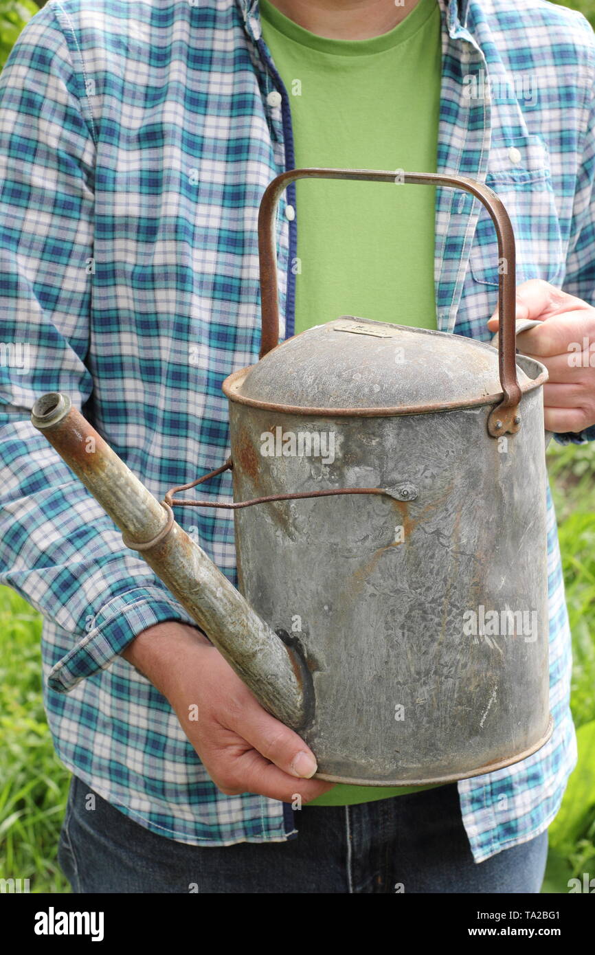 Man prepares to water garden from a metal watering can in late spring - UK Stock Photo