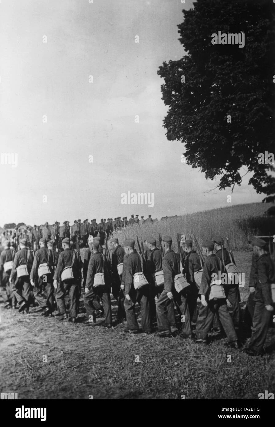 The police trains men of the Todt Organization as protection command for fighting the partisans near Ukta in East Prussia. War reporter: Guthausen. Stock Photo