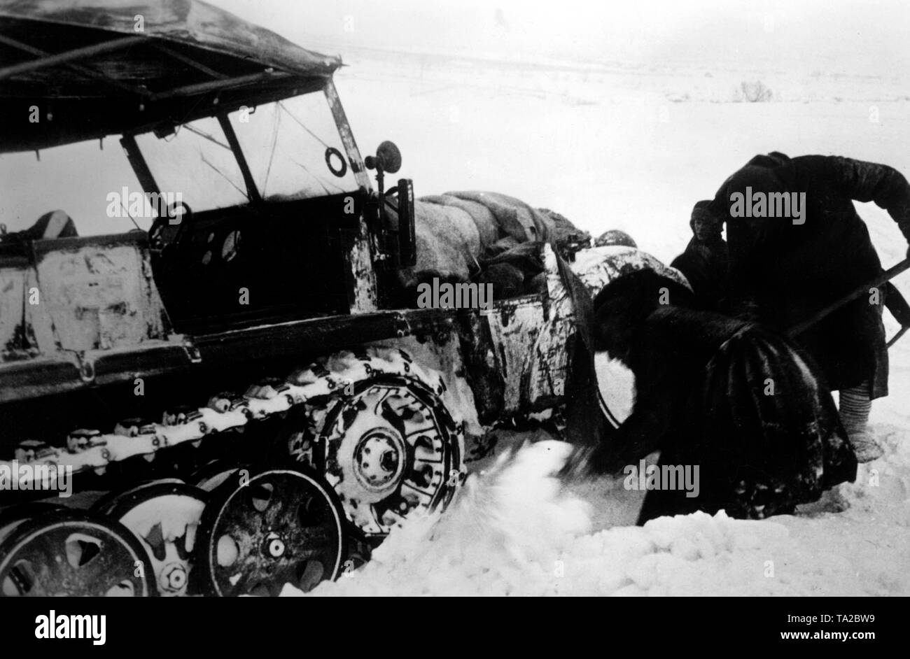 German soldiers are trying to free a light Zugkraftwagen 1t (Sd.Kfz.10), which is stuck in the snow. During the withdrawal from Moscow, the Wehrmacht had to destroy heavy vehicles, because of the weather conditions. (PK-photo). Stock Photo