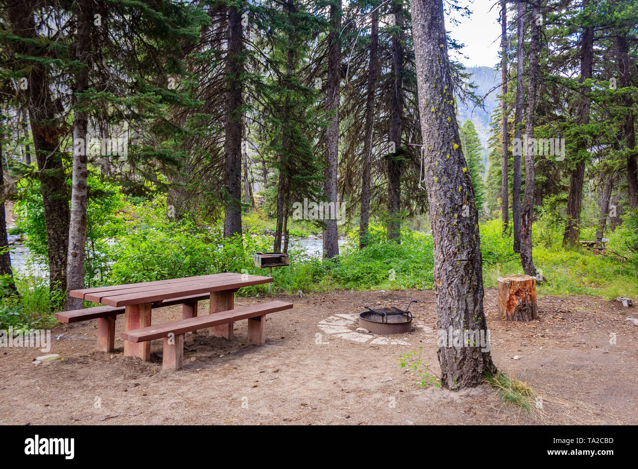 A nice creek side campsite in the Payette National Forest Stock Photo