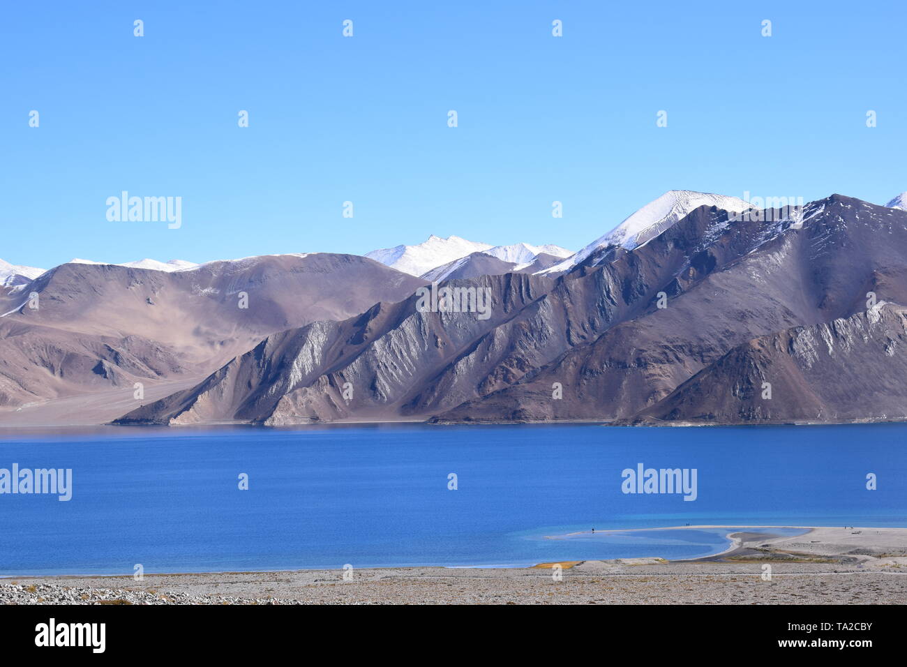 The clear blue sky made the lake totally blue and the both together looks great: A view from the Pangong Lake, Leh, India. Stock Photo