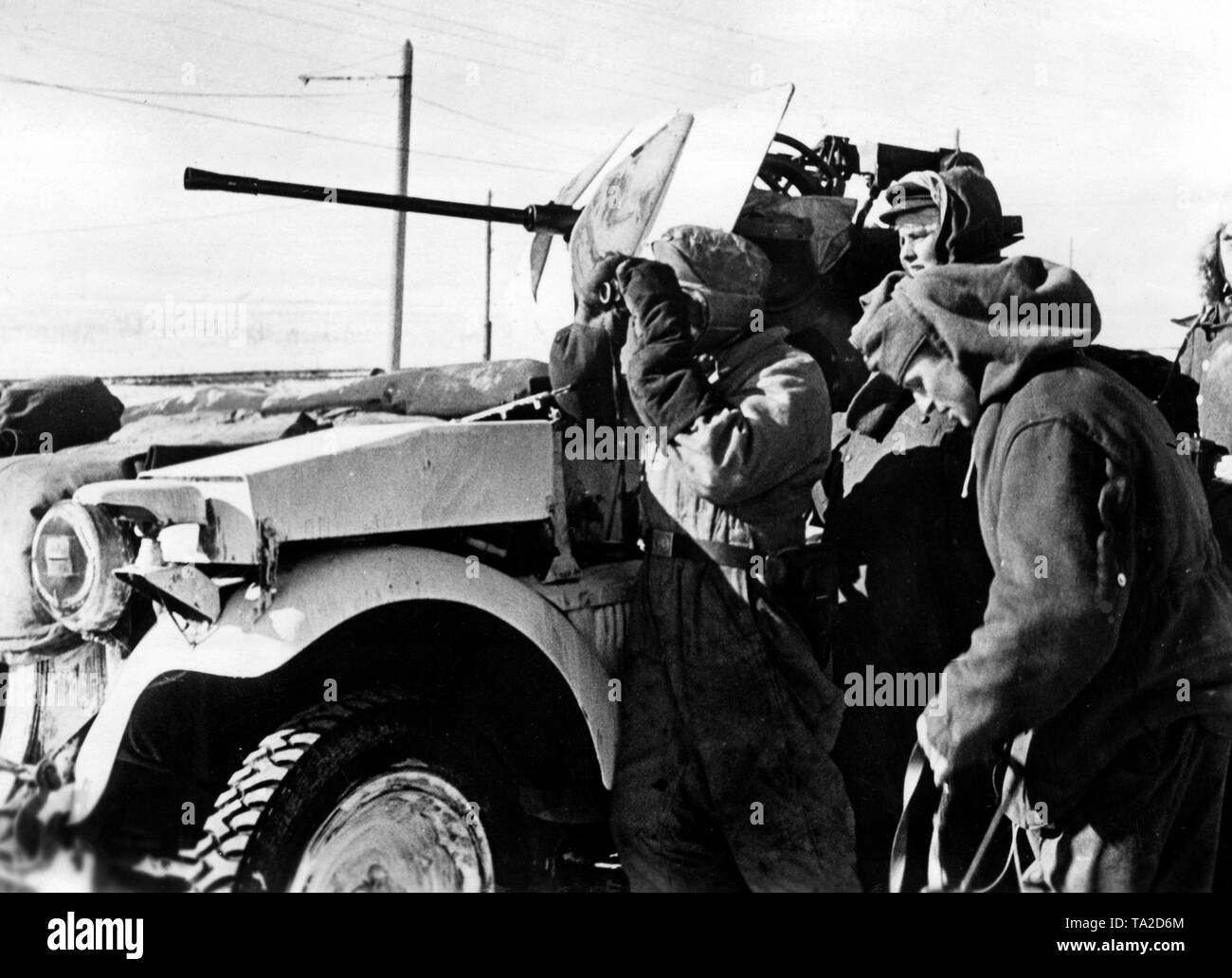 A Schuetzenpanzerwagen (special motorized vehicle) Sd.Kfz.10/5 with a flak is used for defense against enemy tanks during the winter defensive battles at the Don. This special vehicle was a refitted half-track vehicle with a built 2-cm Flak 38. Photo of the Propaganda Company (PK): war correspondent Bauer-Altvater. Stock Photo