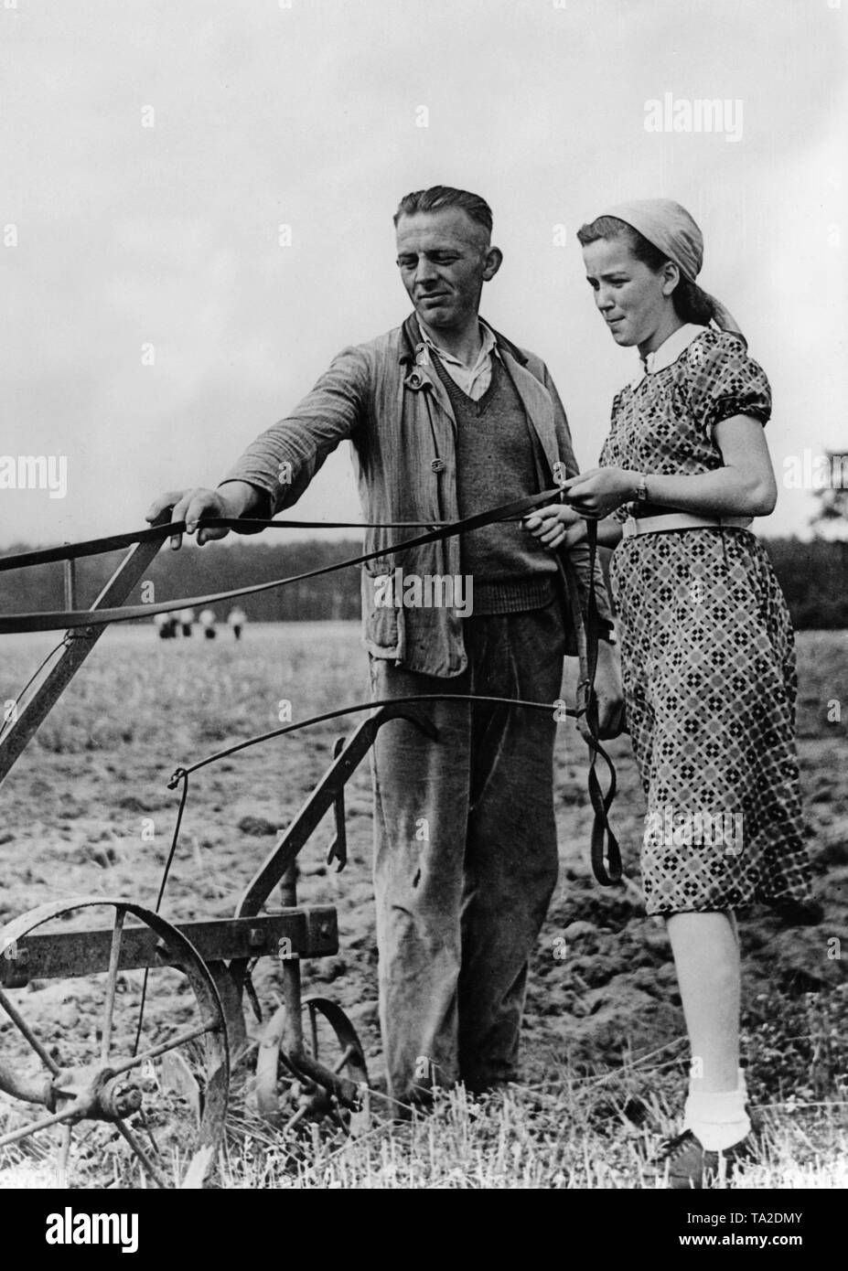 A farmer instructs a BDM leader how to use the plow in the military service. Stock Photo