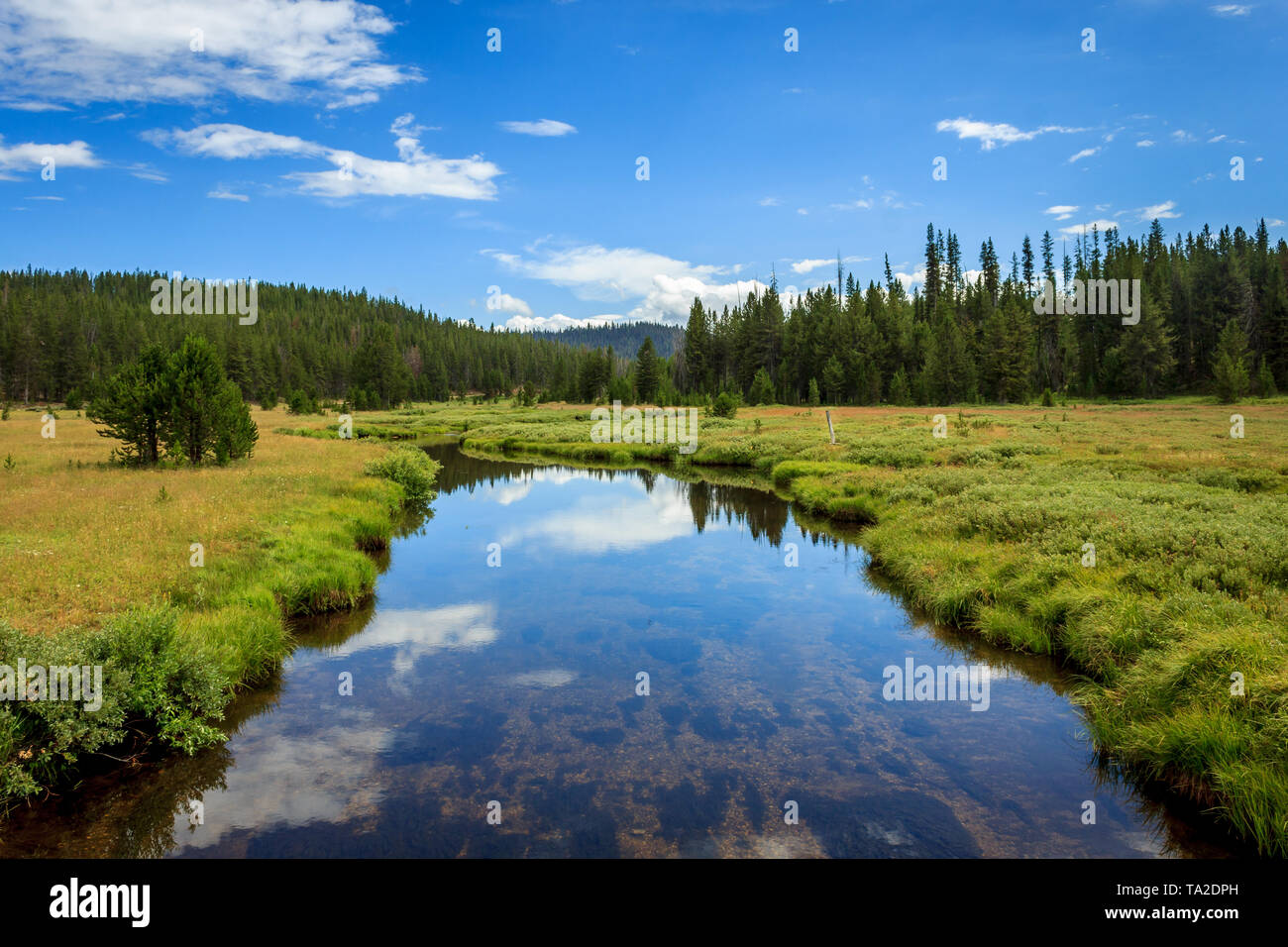 Boise national forest hires stock photography and images Alamy