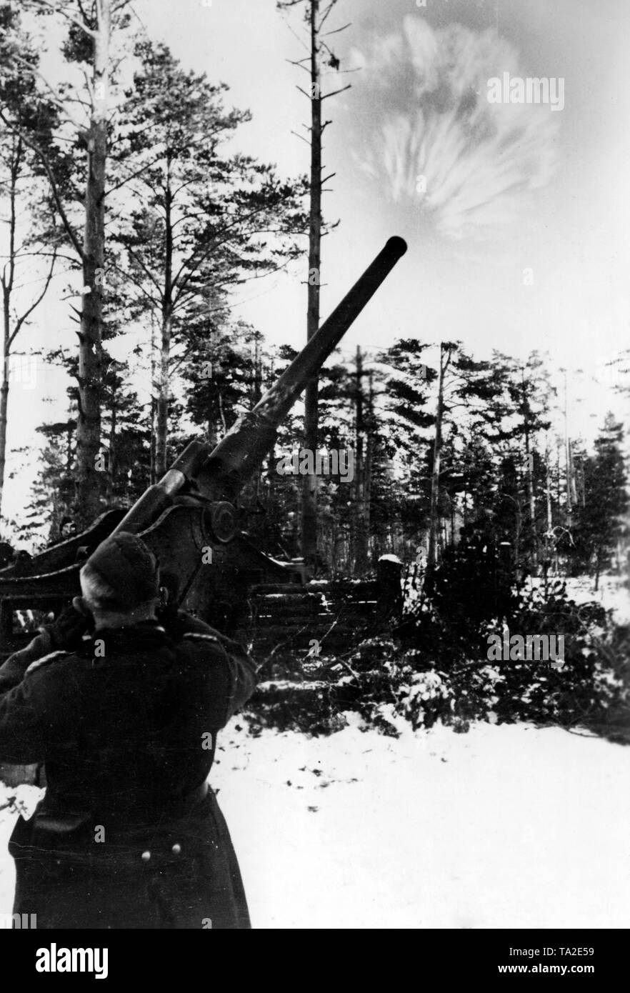 Heavy artillery had bombarded the surrounded city of Leningrad for almost three years. Here, a 21 cm Moerser 18 fires out of a clearing. Photo of the Propaganda Company (PK): war correspondent Ebert. Stock Photo