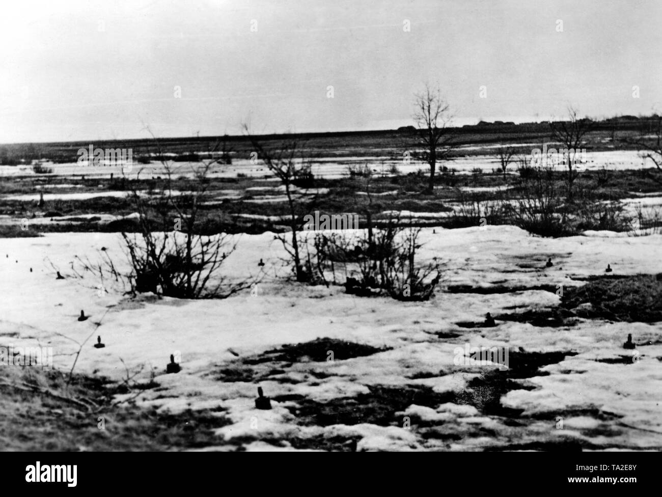 Near the town of Oryol (Orel), the snowmelt reveals a minefield created by Soviet pioneers. Photo of the Propaganda Company (PK): war correspondent Hailer. Stock Photo