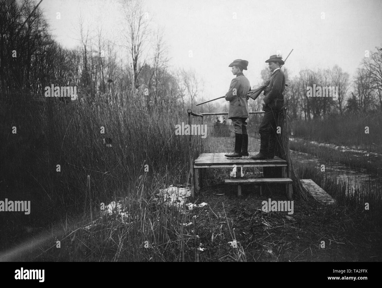 Duke Carl Eduard, Duke of Saxe-Coburg and Gotha on the hunt for birds, presumably ducks, on a reed belt. Behind him was his gun carrier. Stock Photo