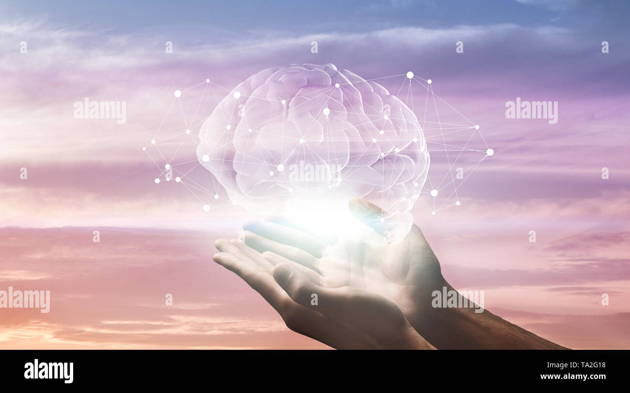 Male hands holding hologram of human brain with network connections Stock Photo