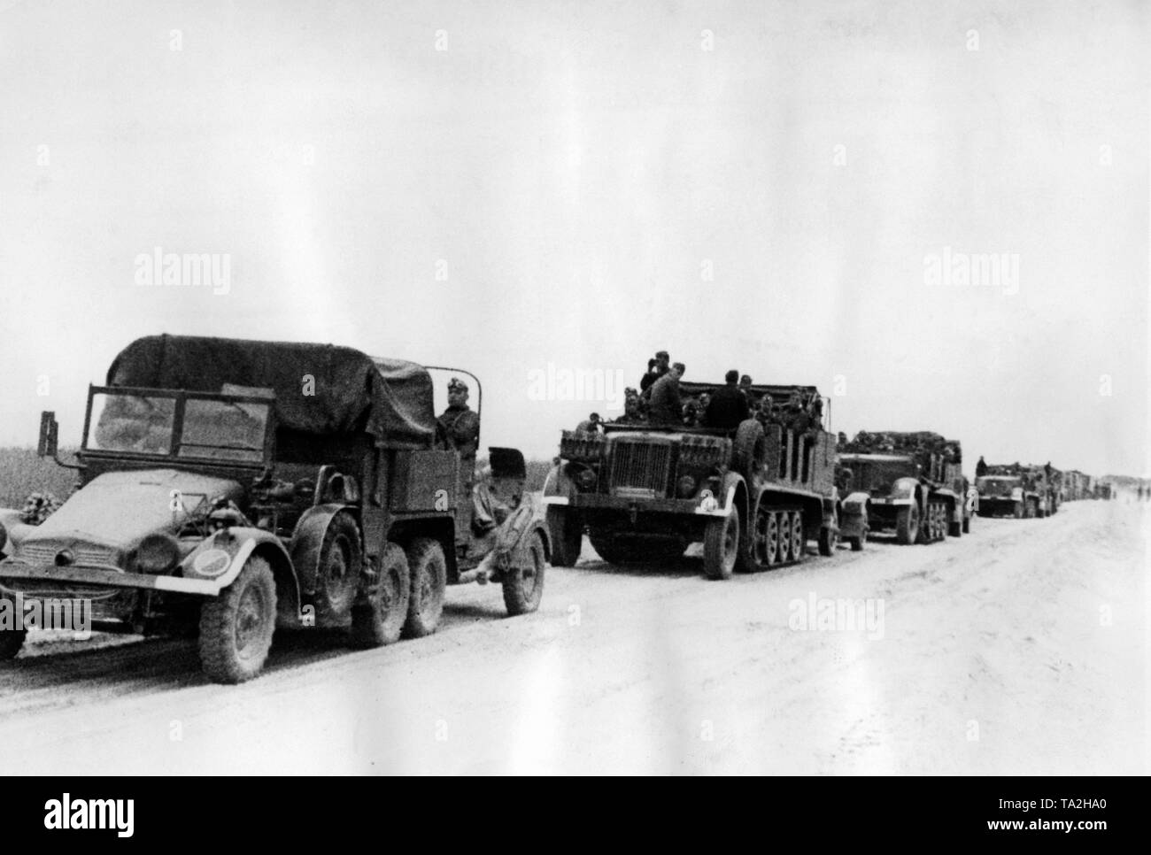 A motorized column of the Wehrmacht on the advance to the Bug during the first days of the Eastern campaign. The vehicles are so-called 'Krupp-Protze' (left) and heavy Zugkraftwagen 12 t 'Sd.Kfz. 8'. Area Army Group Center. Stock Photo