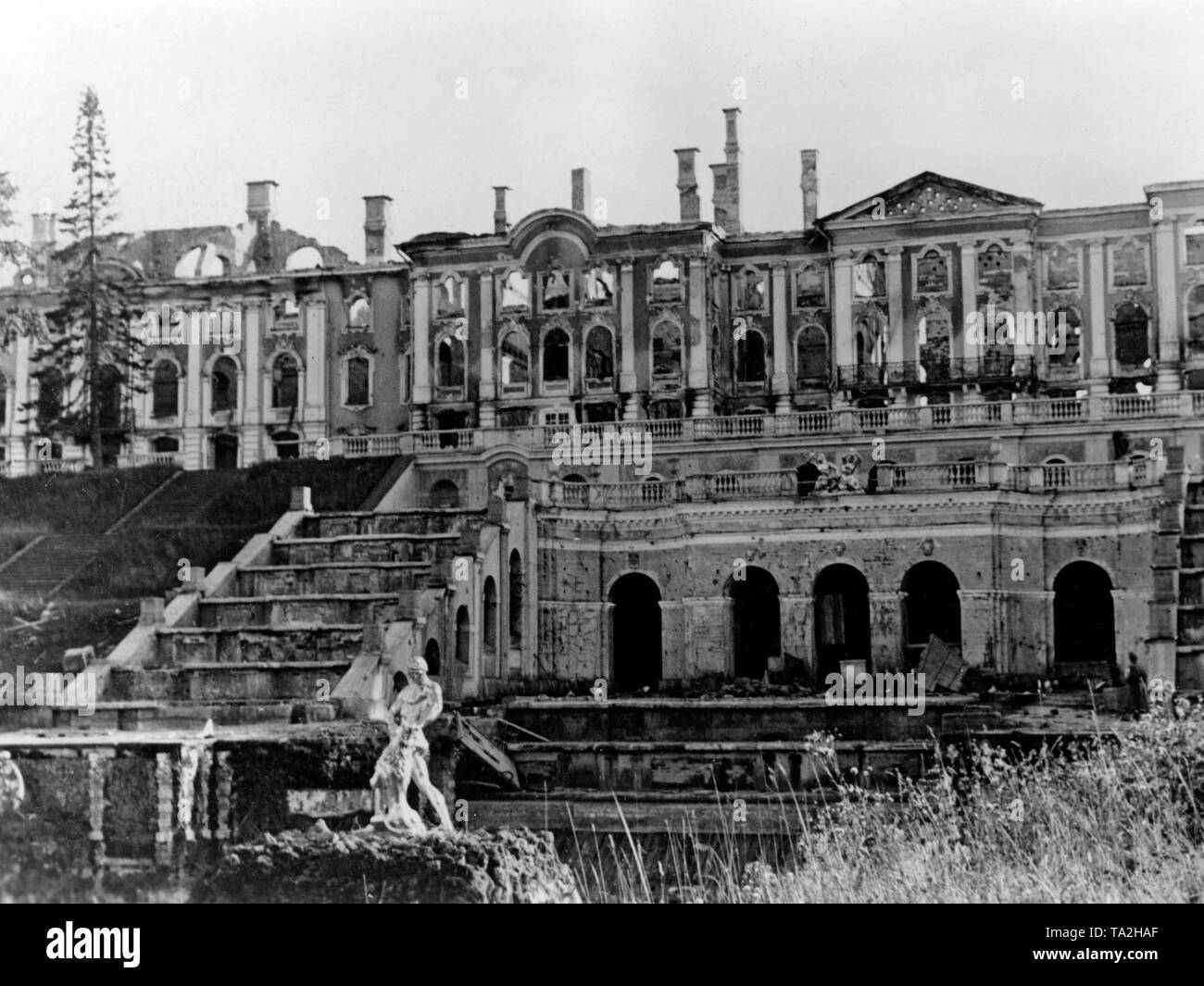 View of the burned out facade of Peterhof Palace. In front of the cascades, the Samsonbrunnen (fountain of Samson). The main character of Samson has been lost since that time ( Photo of the Propaganda Company (PK)). Stock Photo