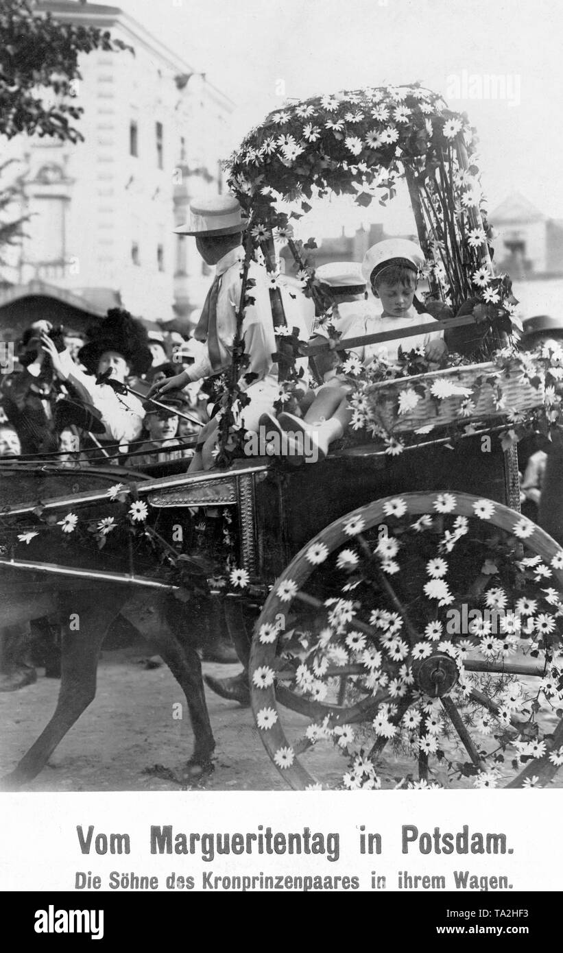 The three sons of the Crown Prince, Wilhelm Friedrich (* 1906), Louis Ferdinand (* 1907) and Hubertus Karl (* 1909), on their moving van decorated with daisies. Stock Photo