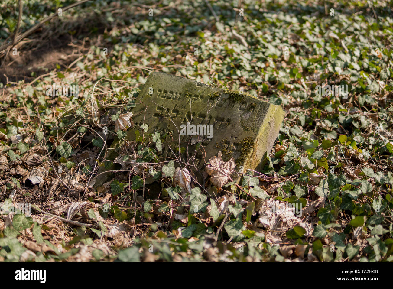 Matzevah Jewish tombstone covered hi-res stock photography and images - Alamy