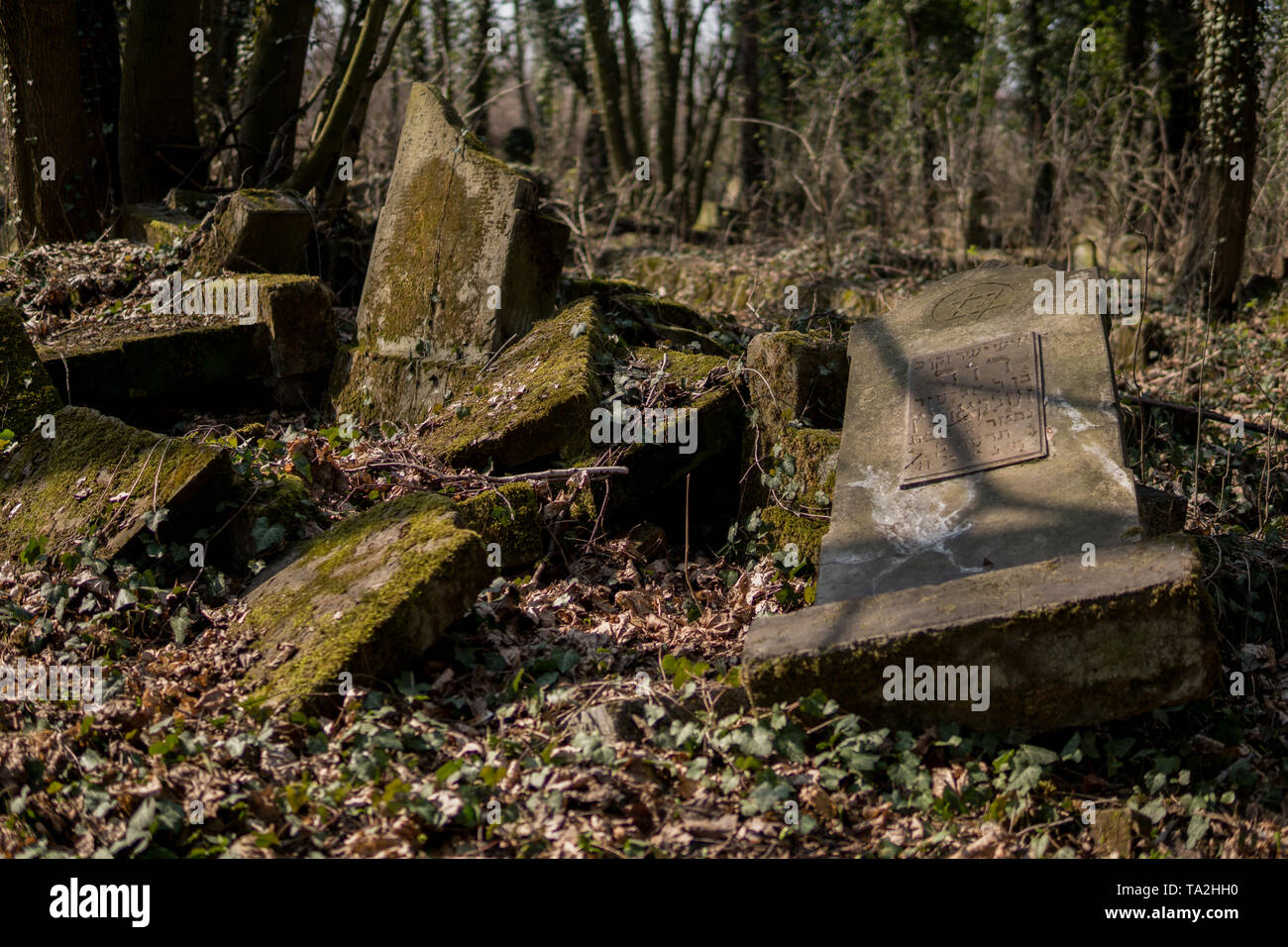 Matzevah detail of broken jewish matzevah from the graveyard of city of ...