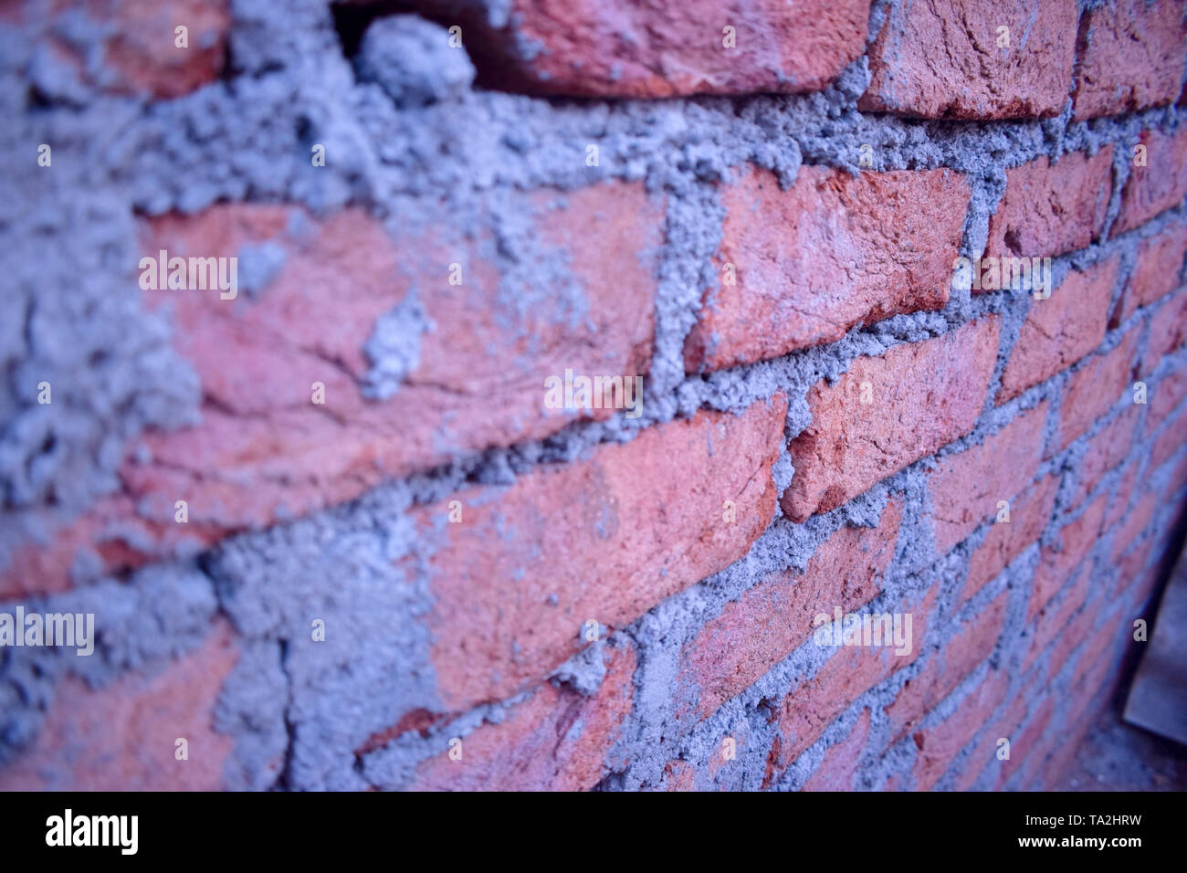 Without curing wall images hi-res stock photography and images - Alamy