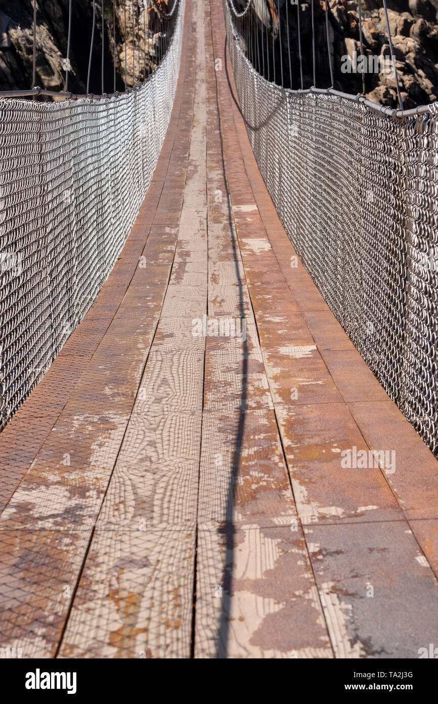 Suspension Bridge at the Tzitzikama National Park near Knysna on the