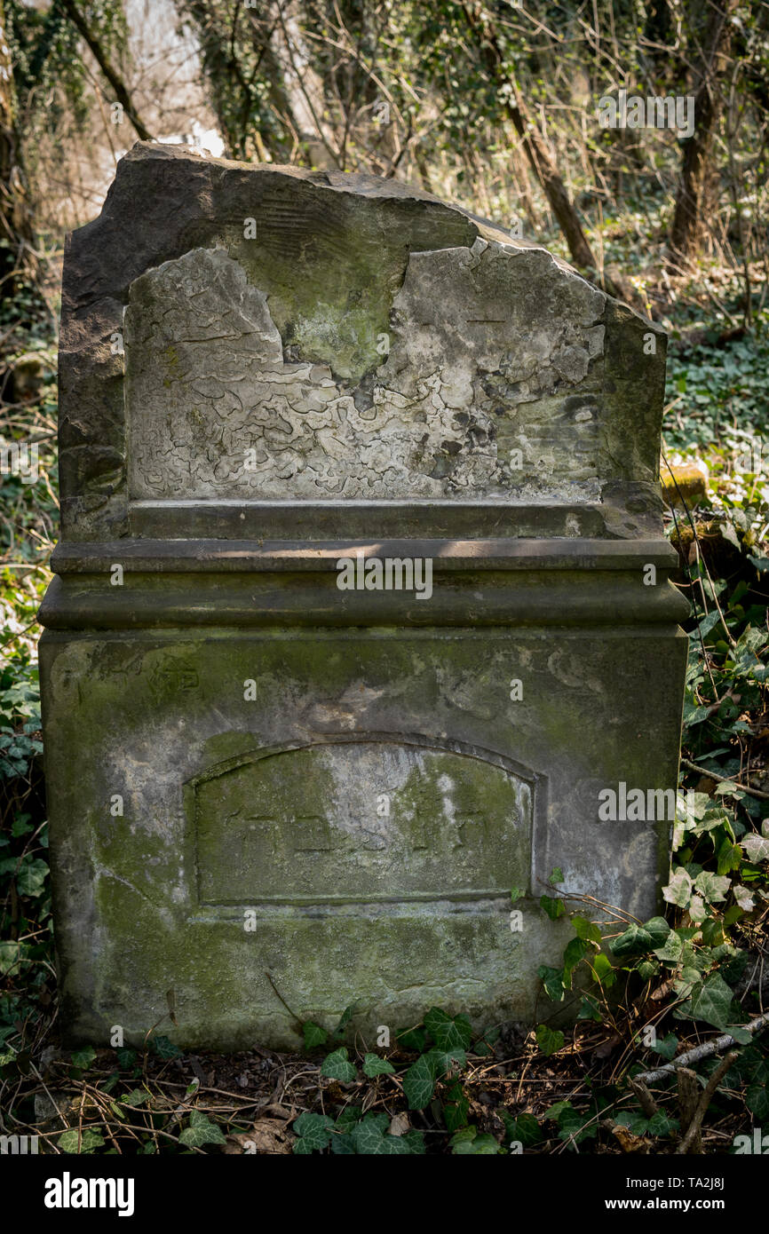 Matzevah close up of old jewish matzevah on graveyard Stock Photo - Alamy