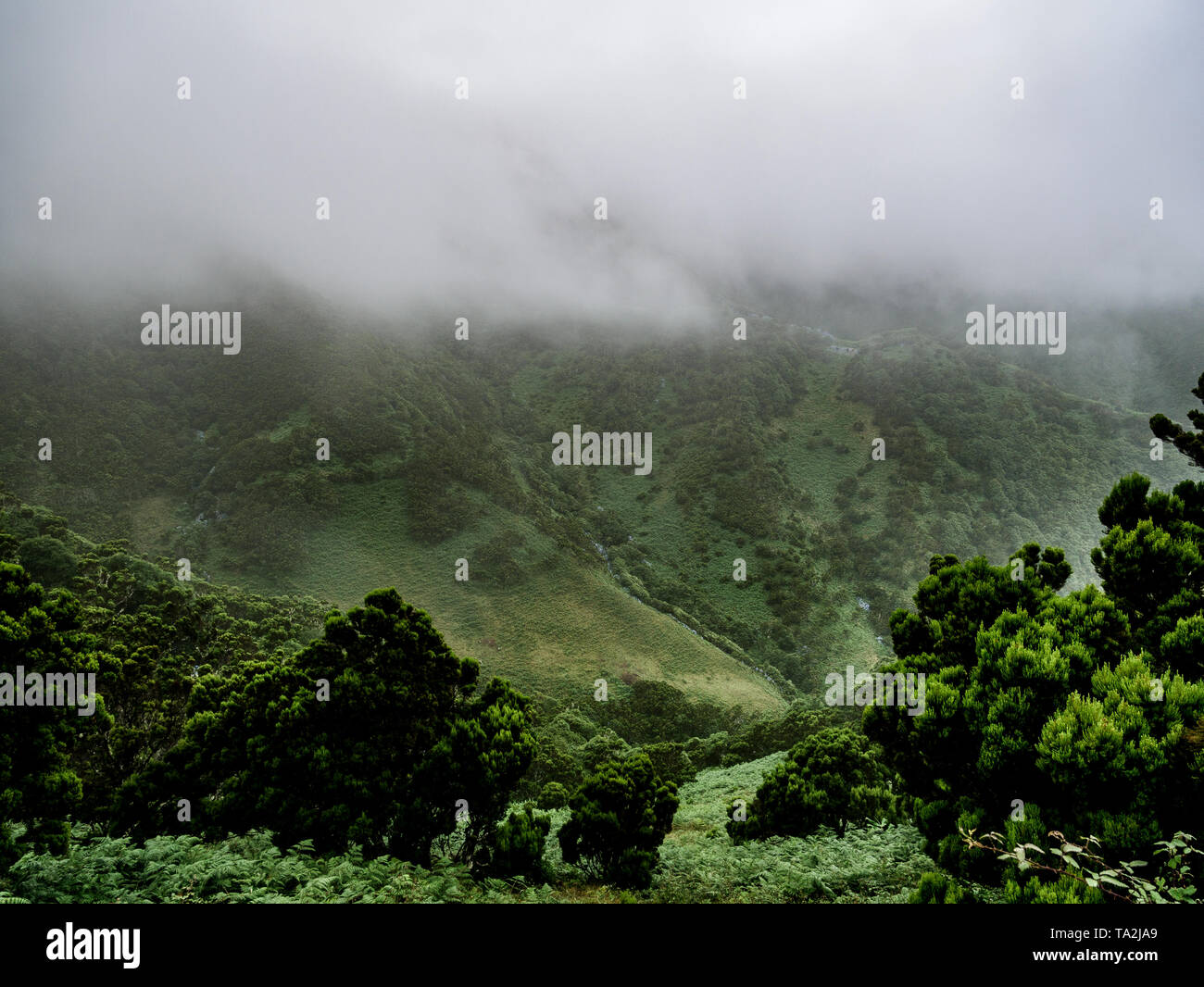 Foggy mountain landscape rocky hi-res stock photography and images - Alamy