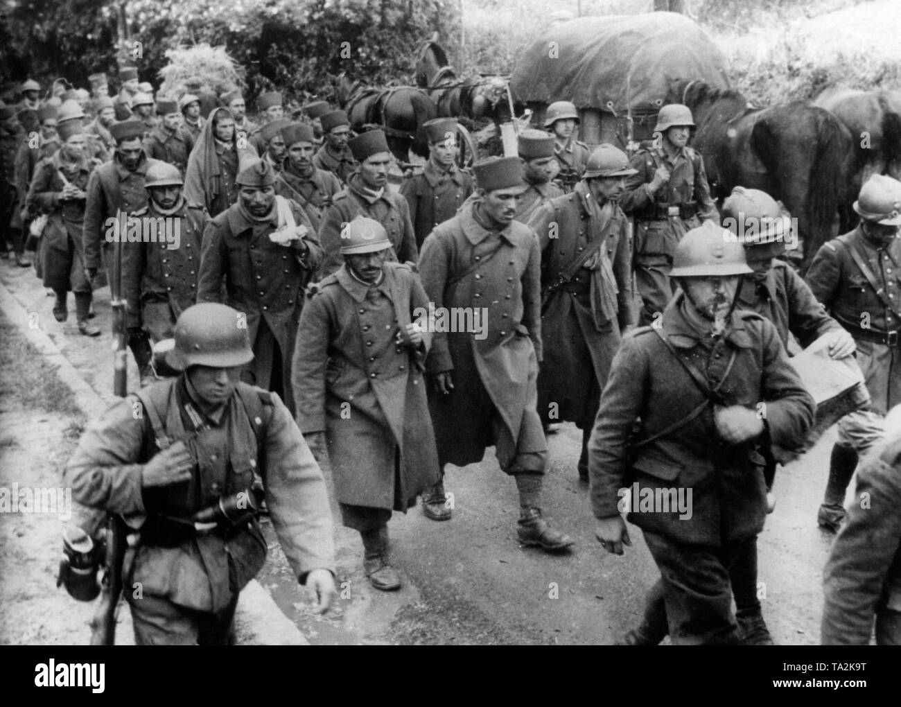 French soldiers, including members of North African troops, march under supervision back into captivity. Stock Photo