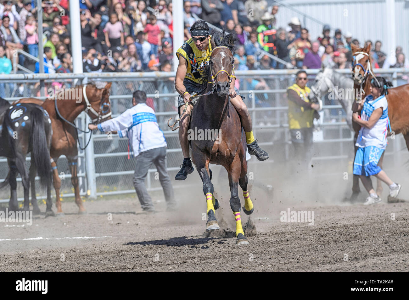 Kehewin First Nations Indian Relay (horse) race, held in Bonnyville