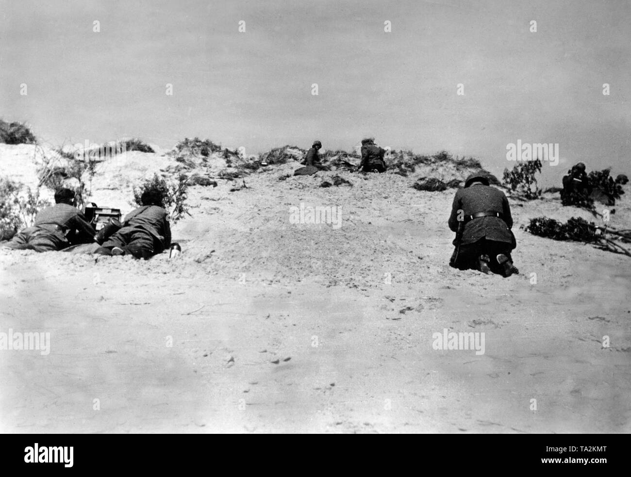 German forward observation post of the artillery in the dunes near Dunkirk. Photo: Gofferje. Stock Photo