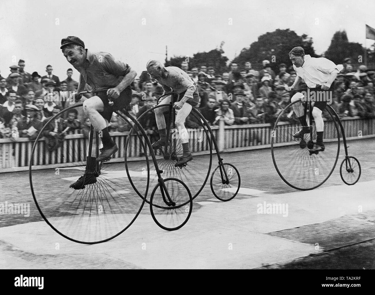 The racers start the competition during the 'Penny Farthing Race' at the Herne Hill Velodrome in London on September 10, 1932. Stock Photo
