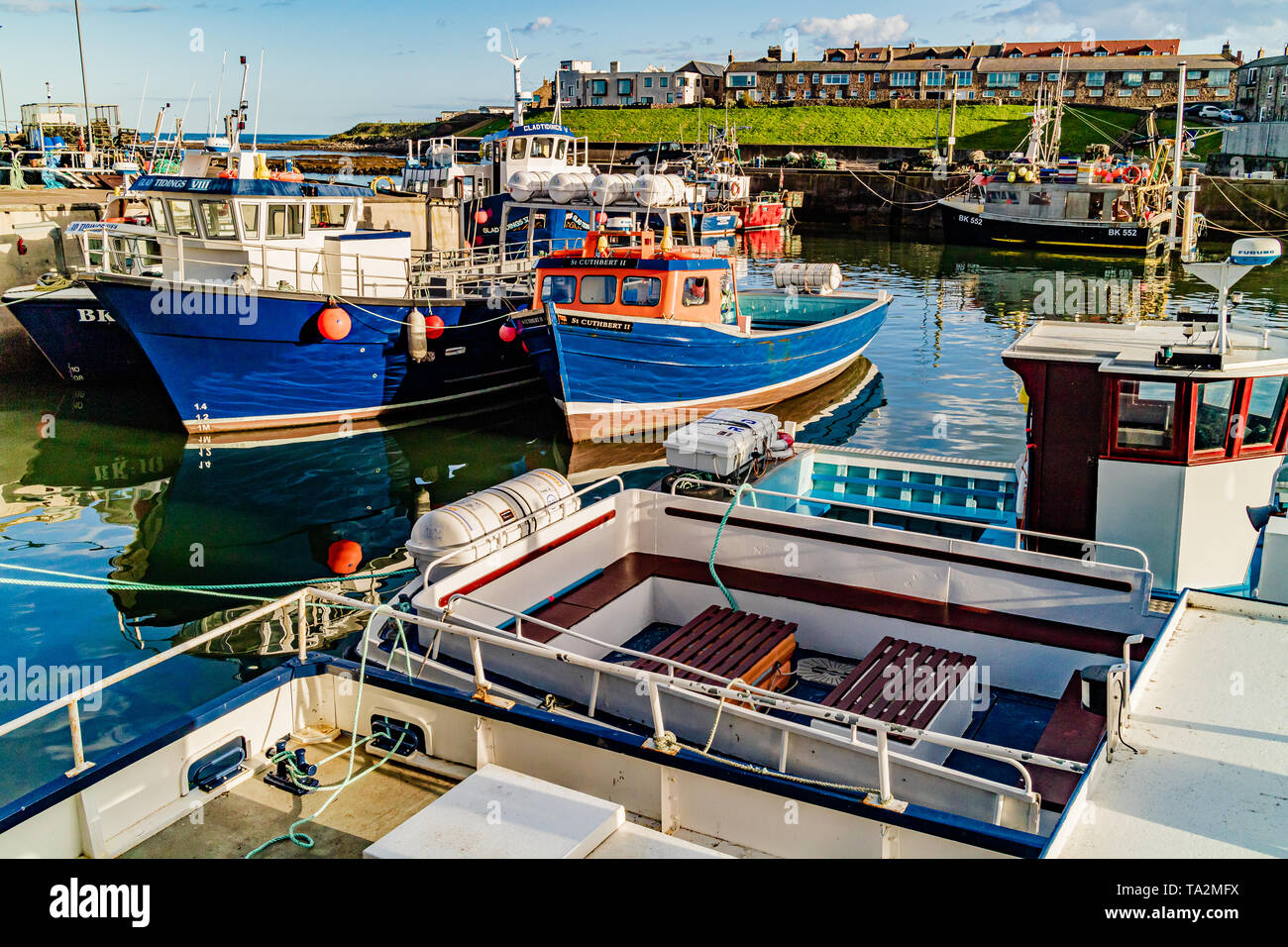 Fishing boats and leisure boats for trips to the Farne Islands in North Sunderland harbour, Seahouses, Northumberland, UK. September 2018. Stock Photo