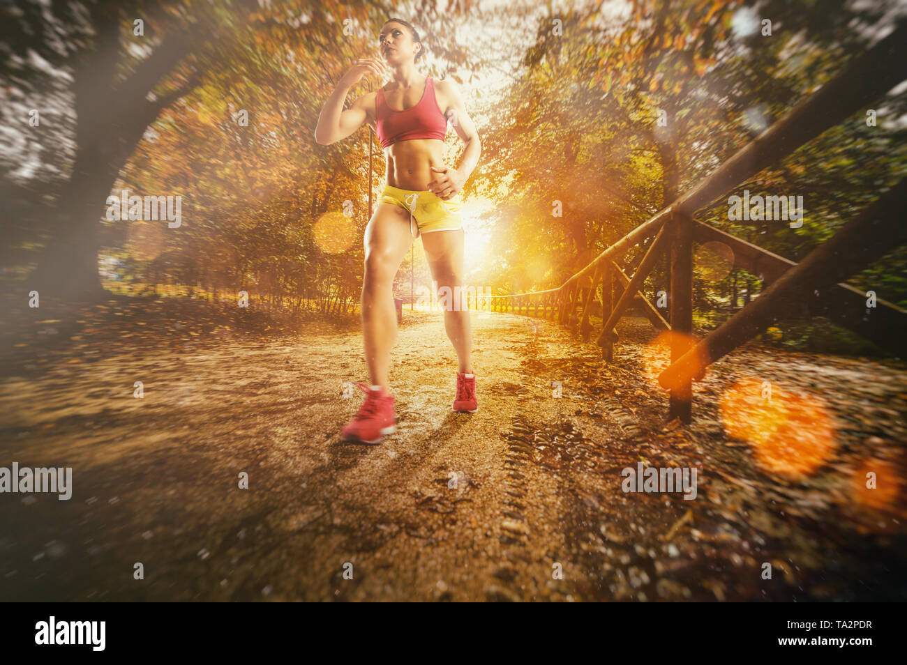 Outdoor jogging surrounded by nature for a healthy lifestyle Stock Photo