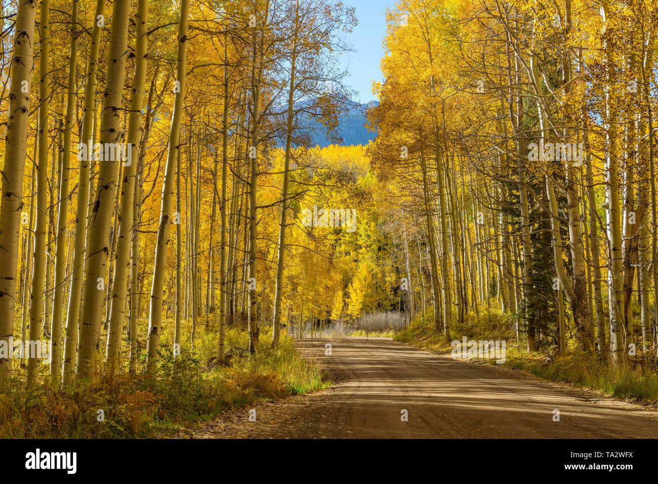 Kebler pass aspen hires stock photography and images Alamy
