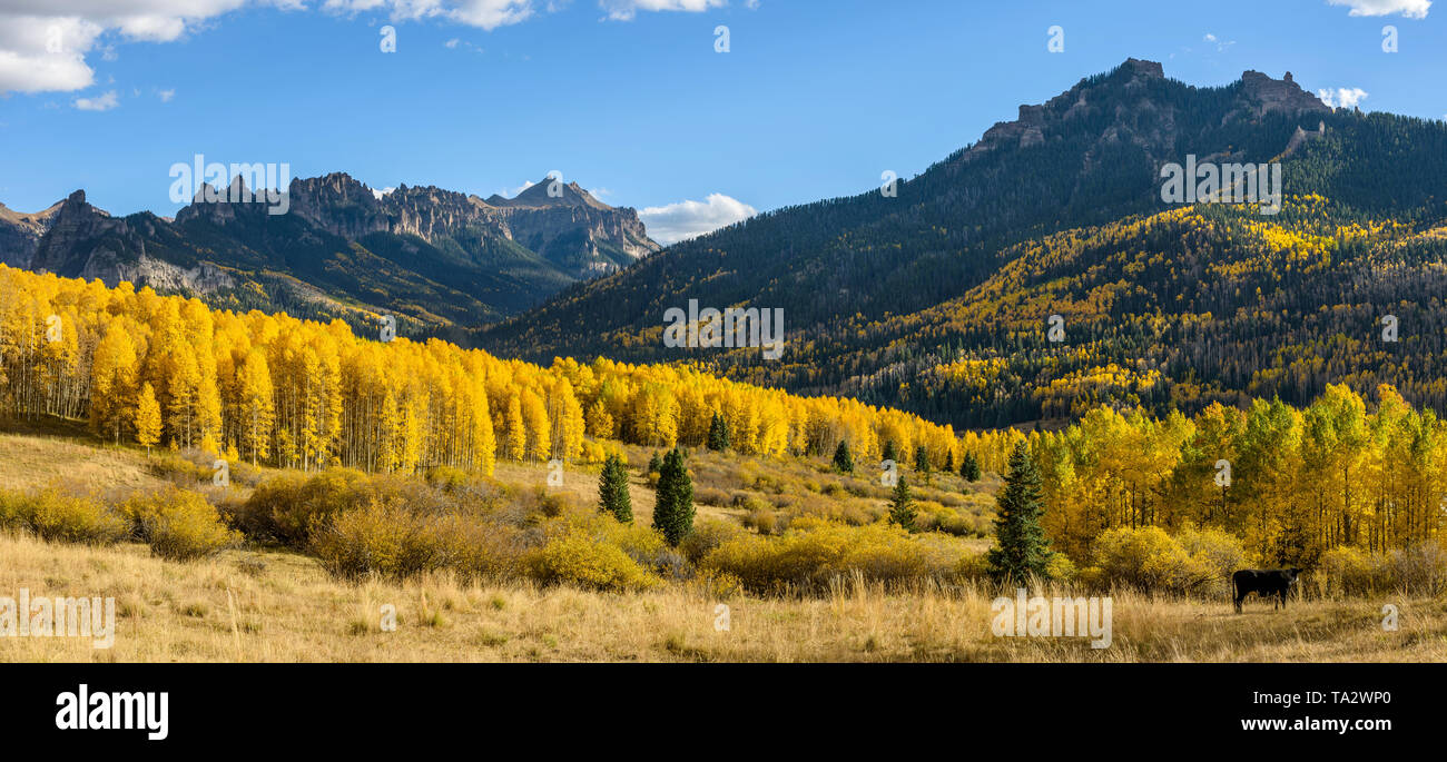 Autumn Mountain Valley - Golden autumn scene at a mountain valley on Owl Creek Pass Road, near Ridgeway, Colorado, USA. Stock Photo