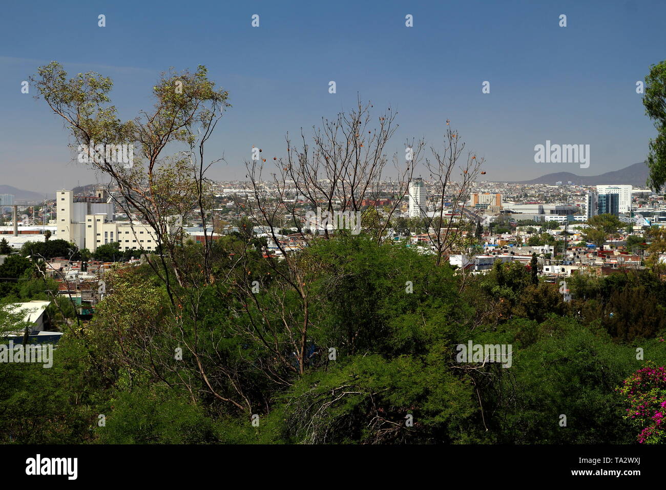 Santiago de Queretaro city skyline. Panorama. Stock Photo