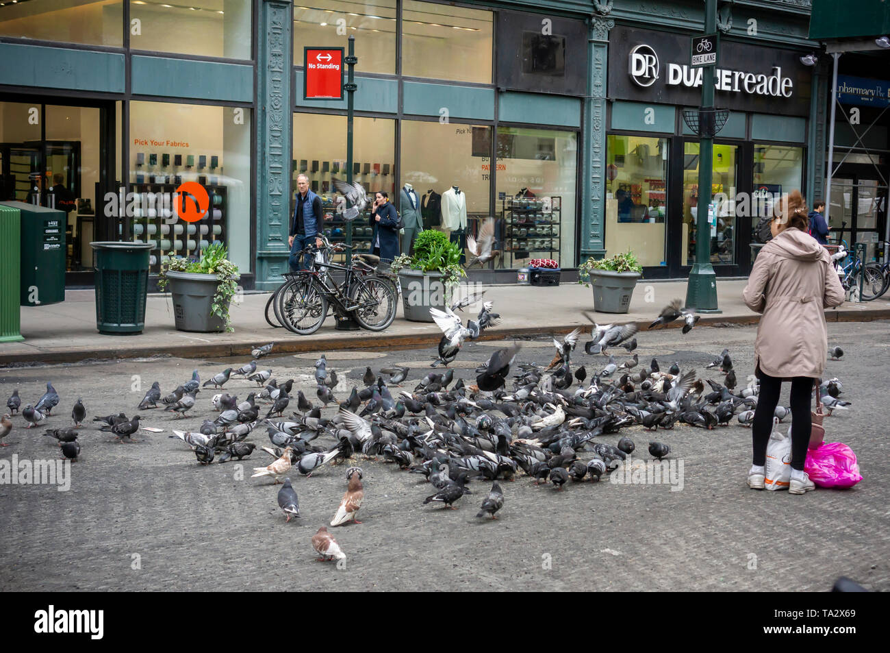 A pigeon lover feeds a flock in Greeley Square in New York on Thursday, May 9, 2019. (Â© Richard B. Levine) Stock Photo