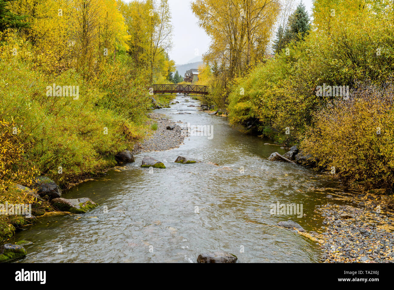 San Miguel River - Autumn view of San Miguel River in the town of Telluride, Colorado, USA. Stock Photo