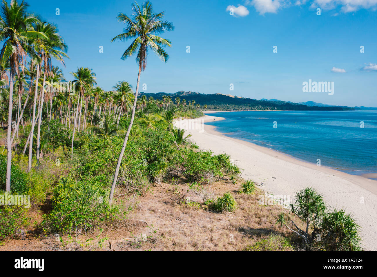 Amazing tropical beach with palm trees in Philippines Stock Photo
