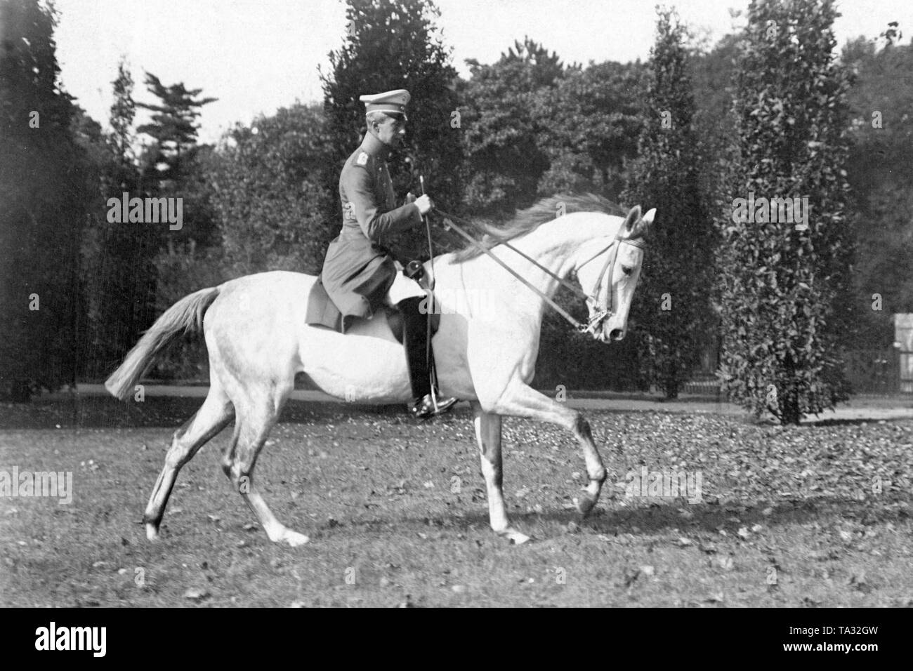 Crown Prince Wilhelm rides on a white horse through the park of the Marble Palace. Stock Photo