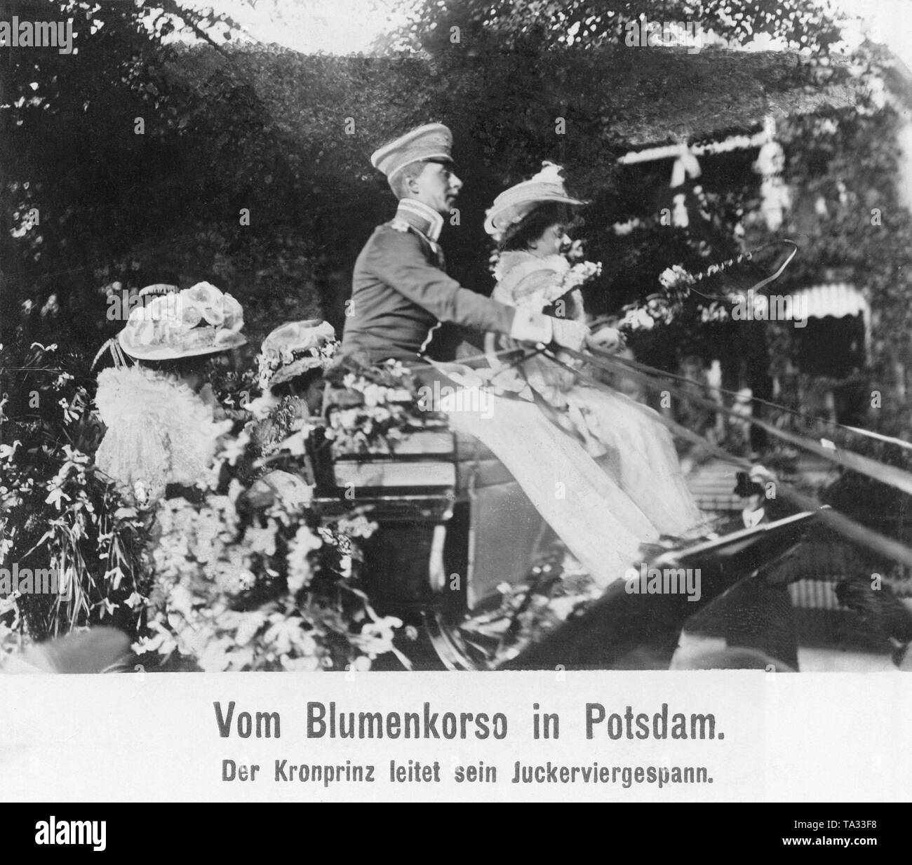 During a flower parade in Potsdam, the German Crown Prince drives his four-in-hand. Stock Photo