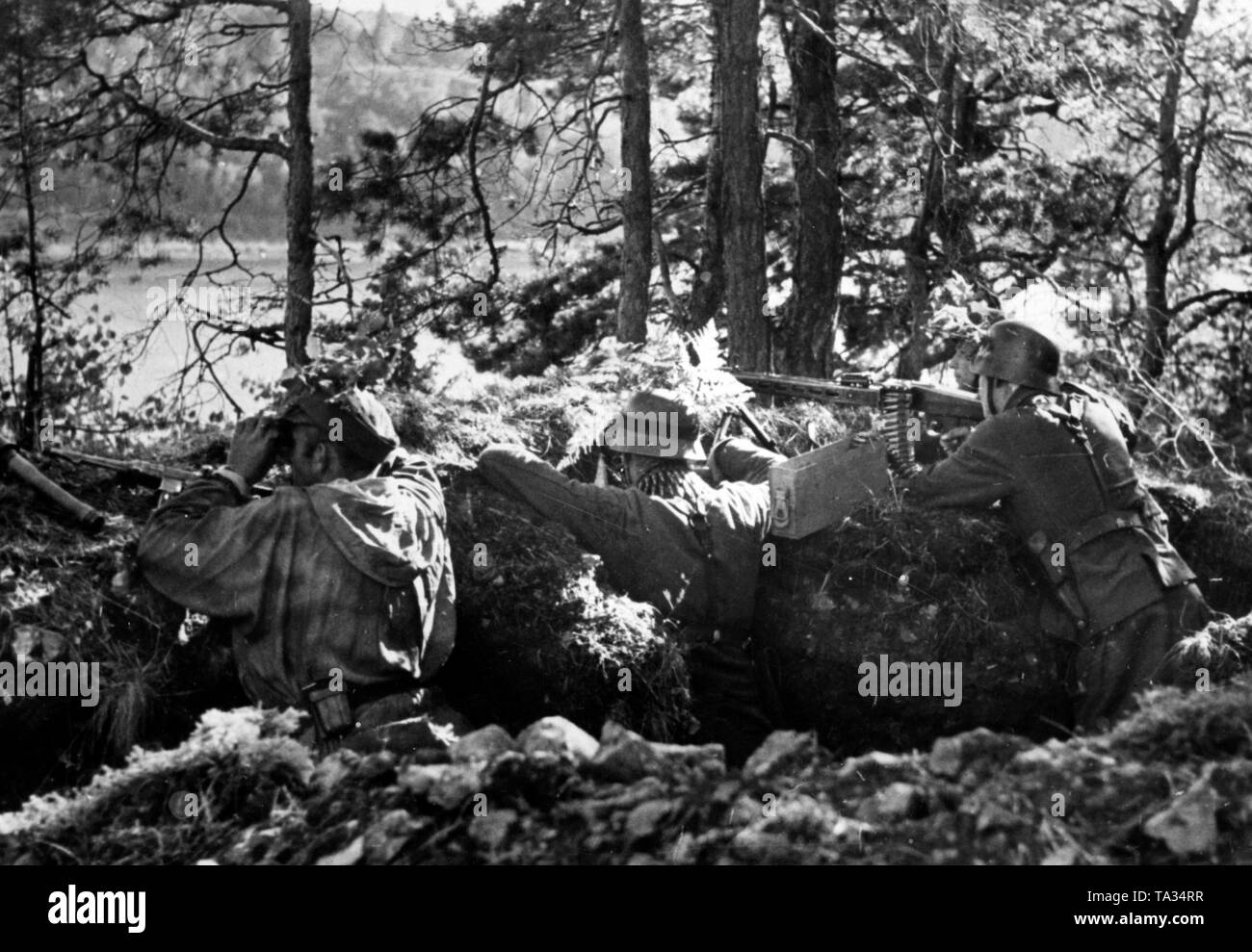 German observation post on the wooded bank of the river Daugava in Estonia. Besides a Maschinengewehr 42, they are also equipped with hand grenades and a Maschinenpistole 40 (automatic pistol). Photo of the Propaganda Company (PK): War correspondent Baier. Stock Photo