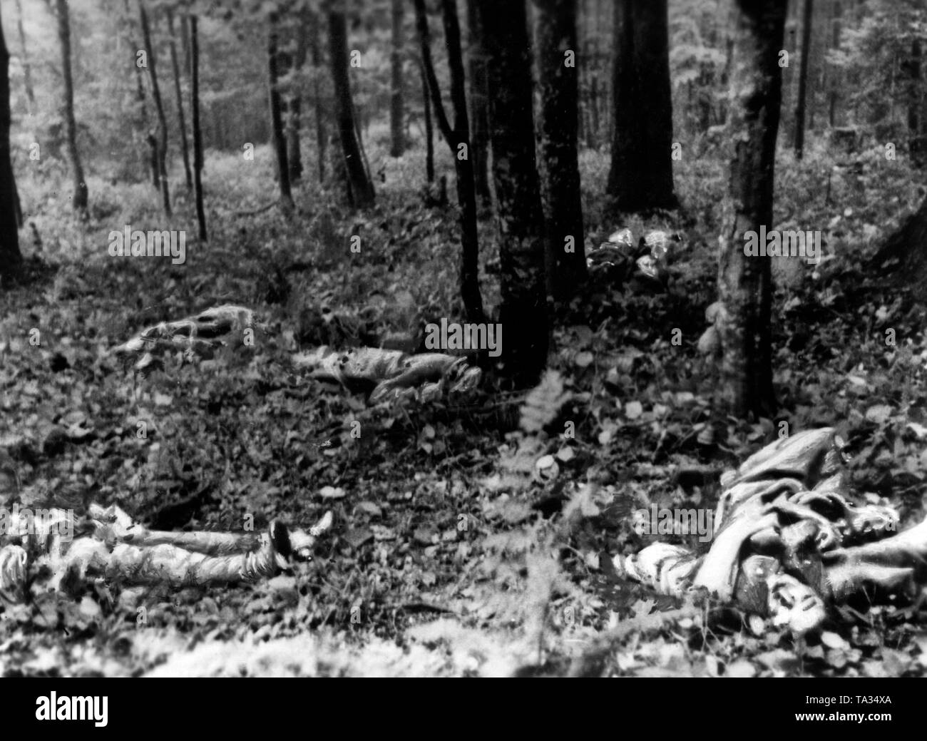 Fallen Soviet soldiers lie in a forest. They probably died in an attack in the Beskid Mountains. Photo of the Propaganda Company (PK): War correspondent Knaack. Stock Photo