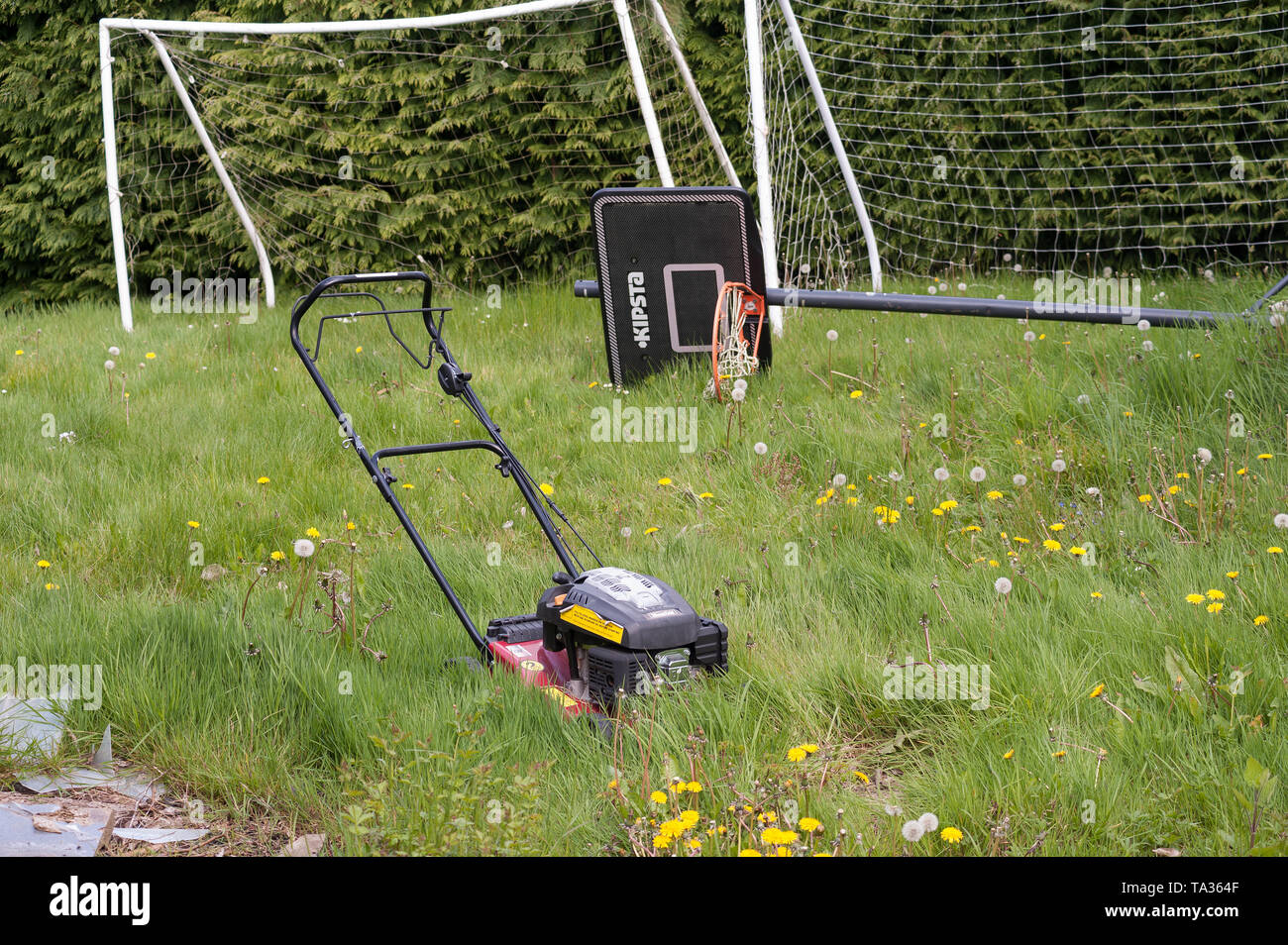Broken lawnmower or too busy a working life to cut the grass in summer so lawn is over grown, neglected, becoming a meadow over holiday Stock Photo