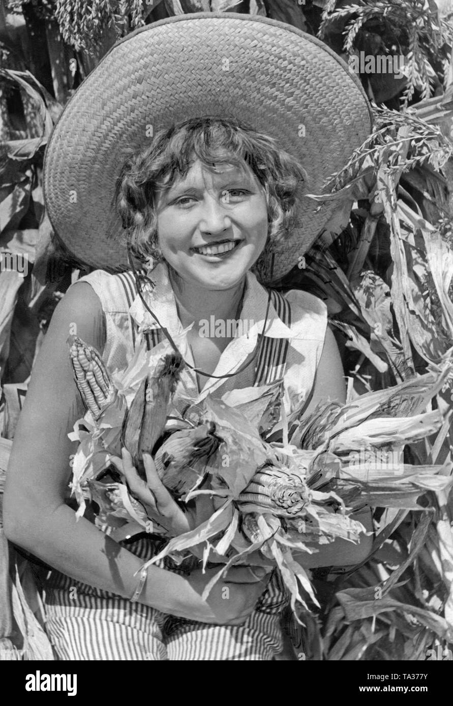 Miss Maurine Hamman, winner of the 'American Champion Farm Girl' agricultural contest at the Los Angeles Country Fair in Pomona. Here she is peeling corn. Stock Photo